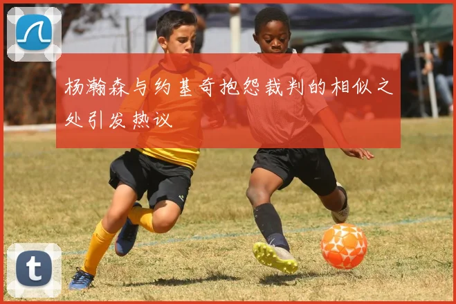 杨瀚森与约基奇抱怨裁判的相似之处引发热议