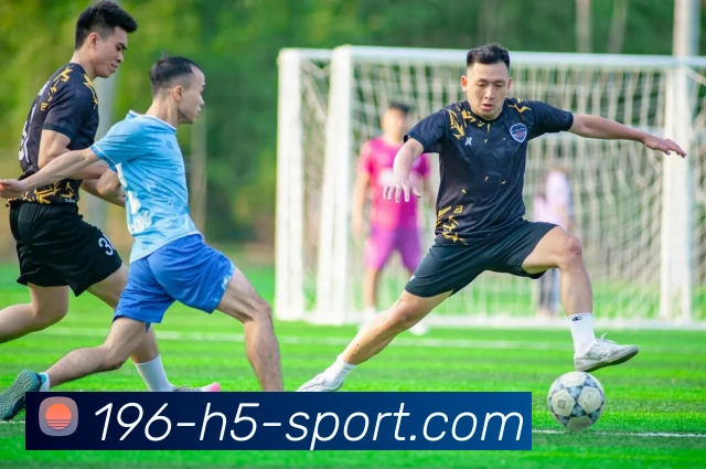 多媒体互动体验